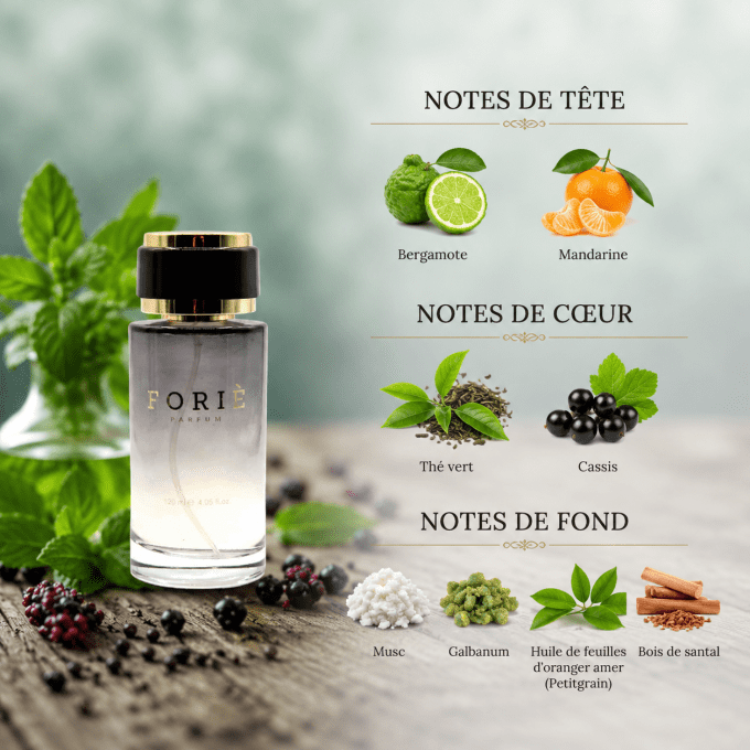 Parfum Unisexe Foriè Fr503